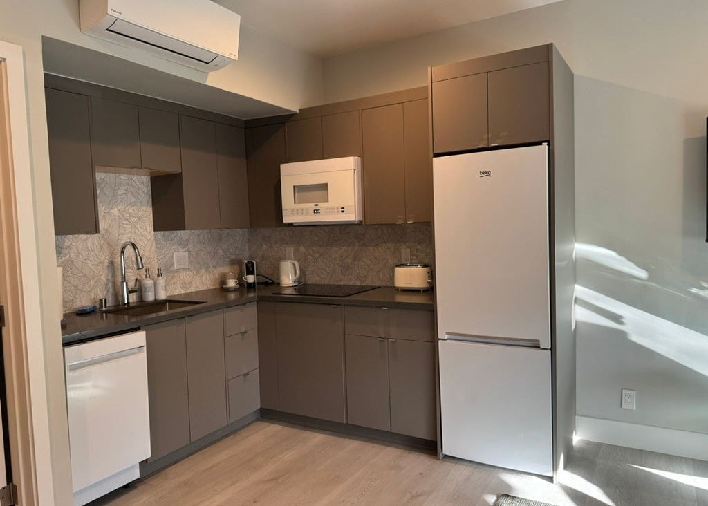 Modern 1-Bedroom 1 Bath Apartment