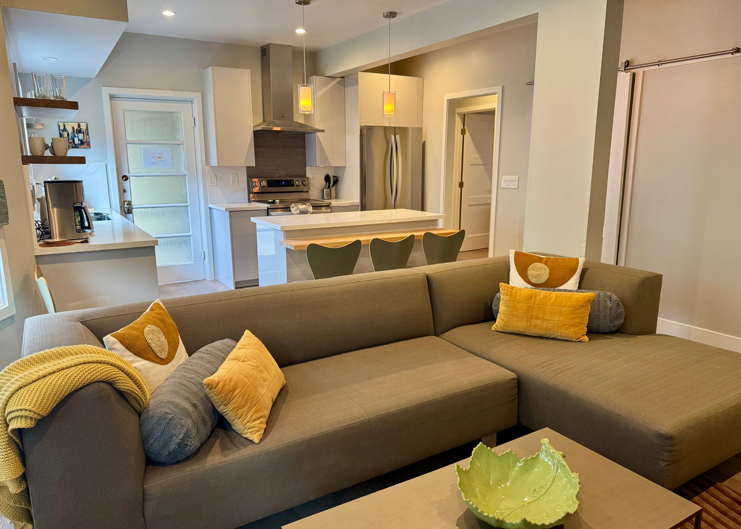 Living Room and Open Kitchen Area