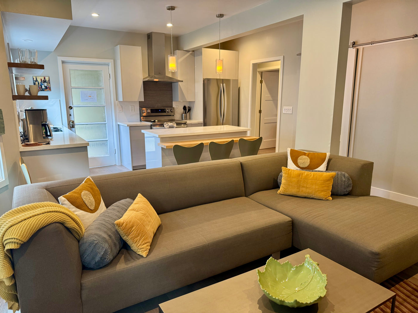 Living Room and Open Kitchen Area